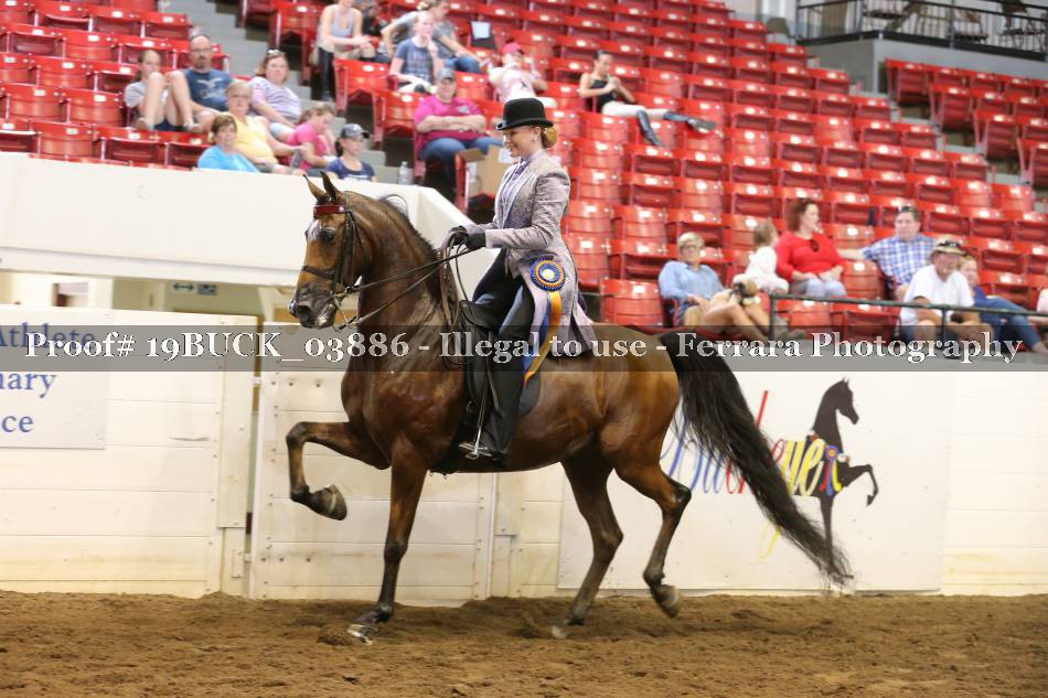 Proof 19BUCK_03886