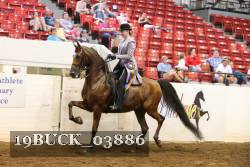 19BUCK_03886 proof