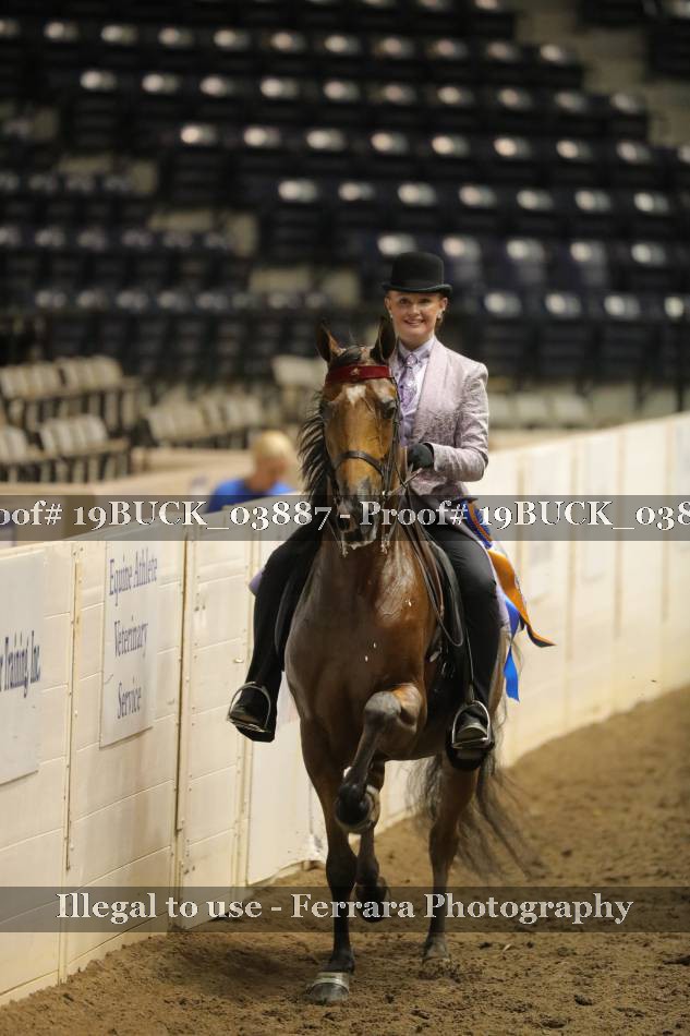 Proof 19BUCK_03887