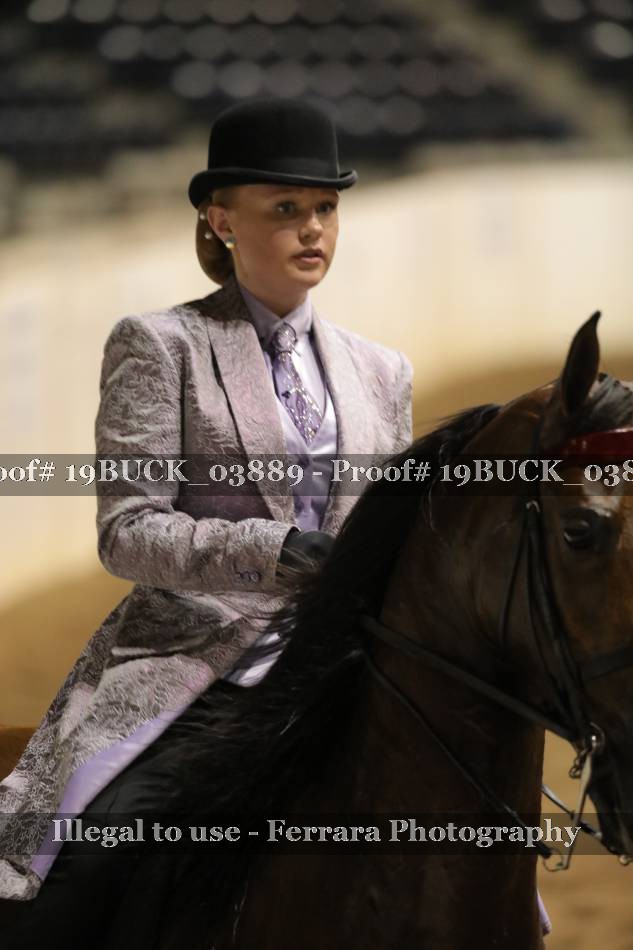 Proof 19BUCK_03889