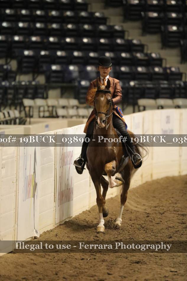Proof 19BUCK_03890