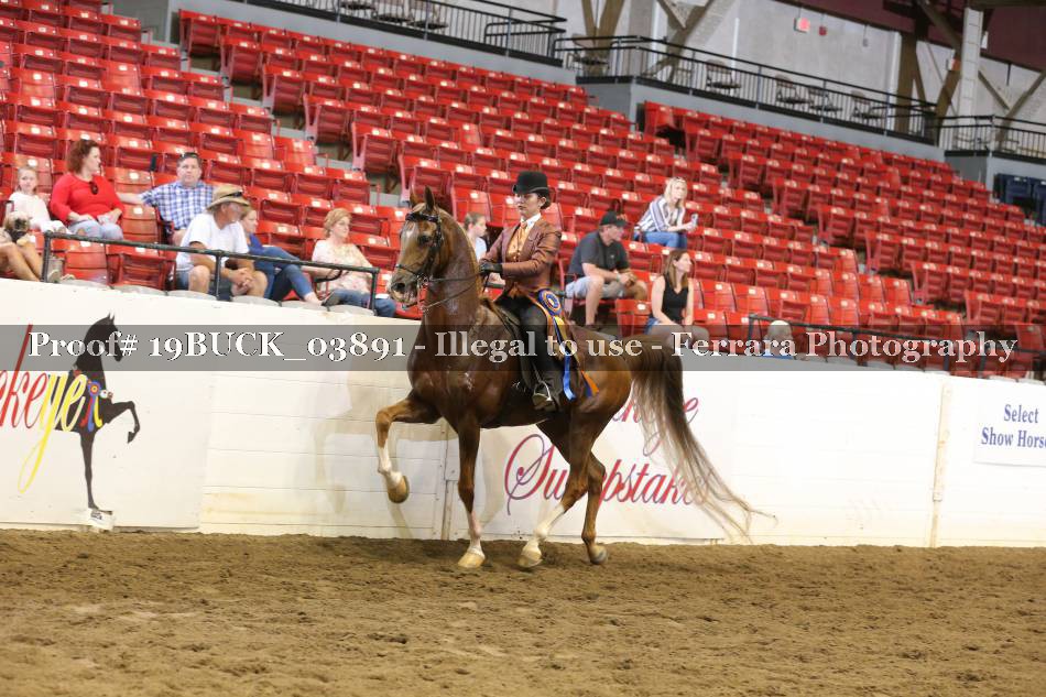 Proof 19BUCK_03891