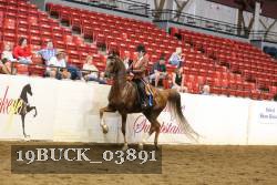 19BUCK_03891 proof