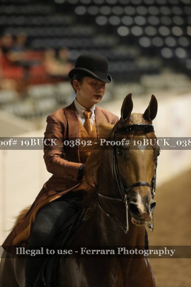 Proof 19BUCK_03892