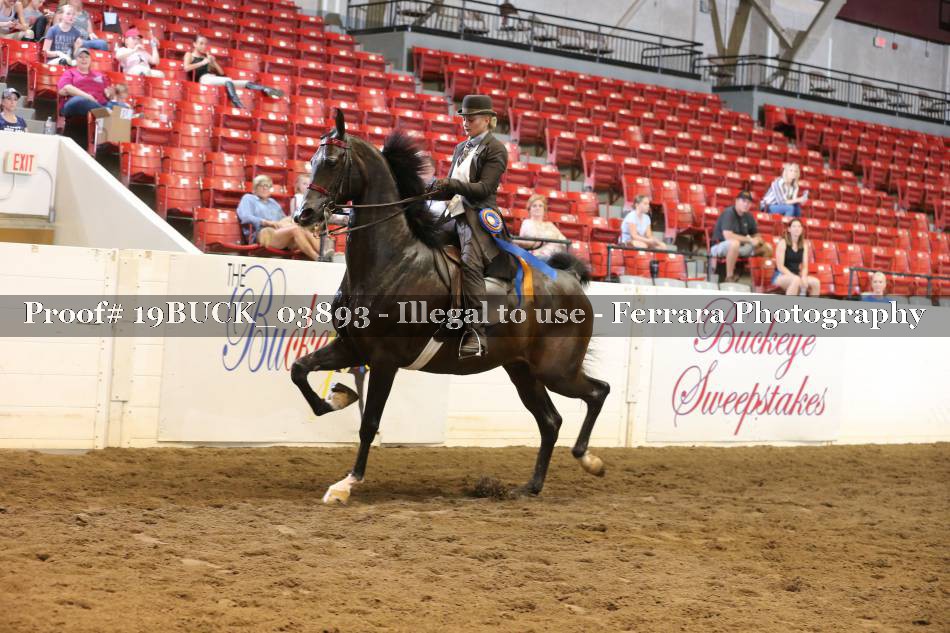 Proof 19BUCK_03893