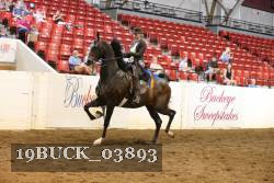 19BUCK_03893 proof