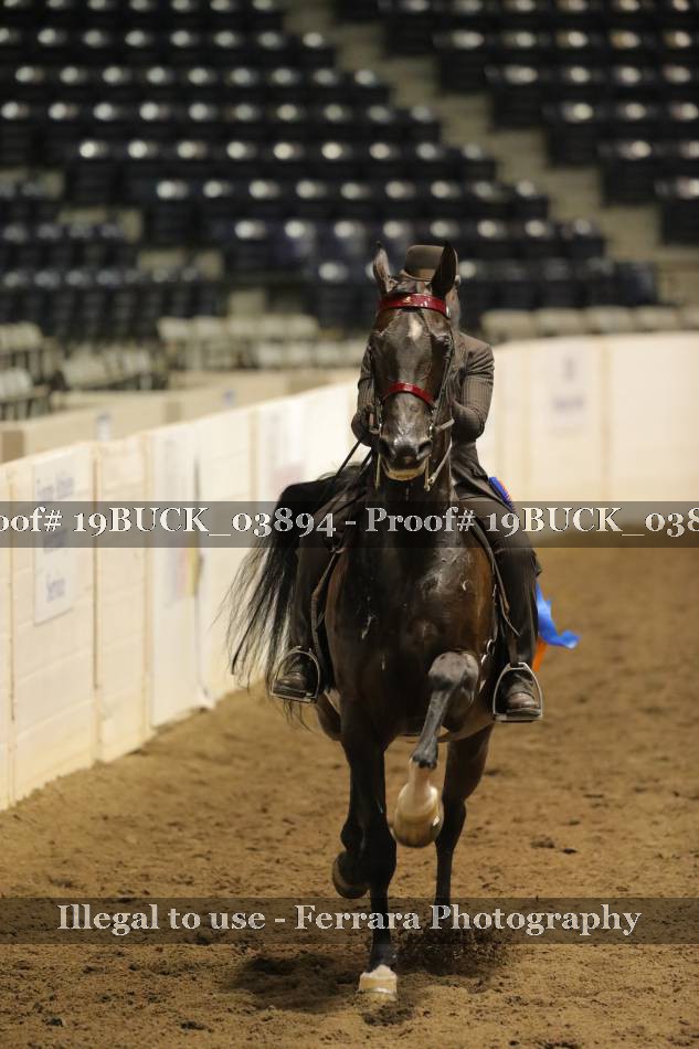 Proof 19BUCK_03894