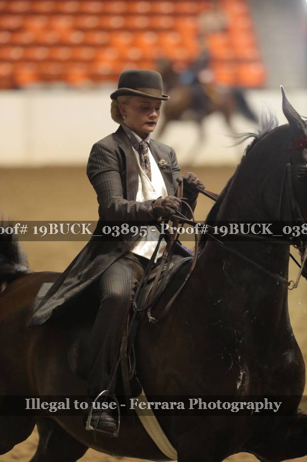 Proof 19BUCK_03895