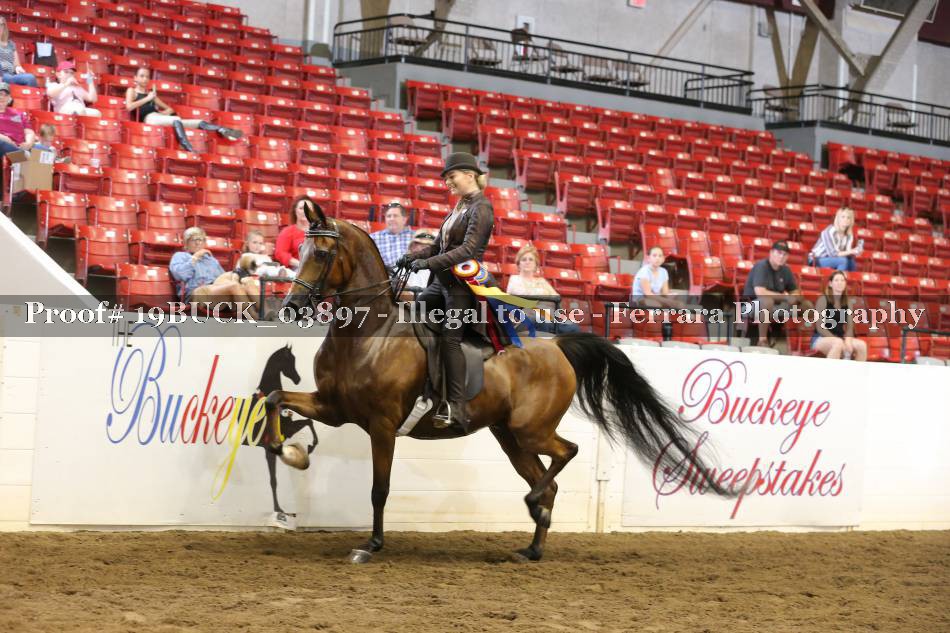 Proof 19BUCK_03897