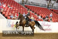 19BUCK_03897 proof