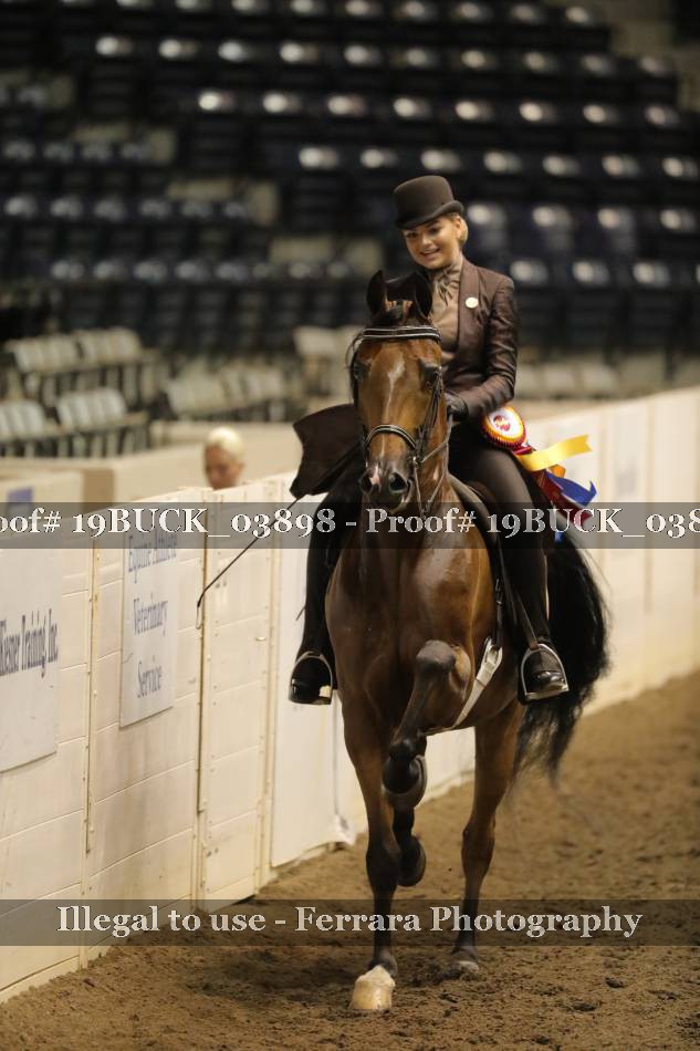 Proof 19BUCK_03898