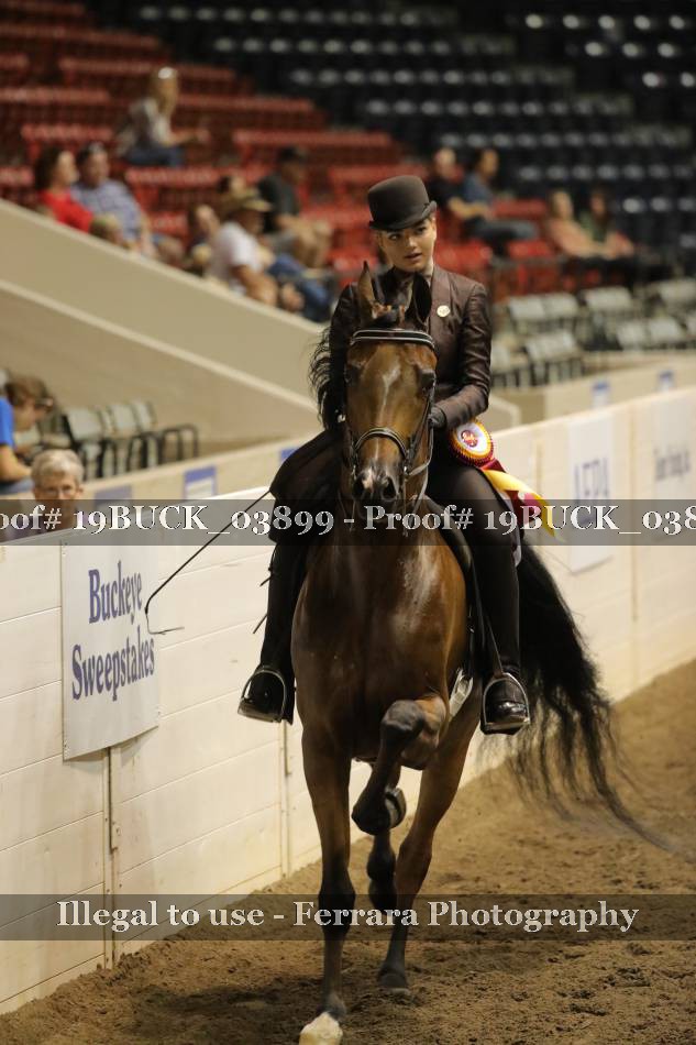 Proof 19BUCK_03899