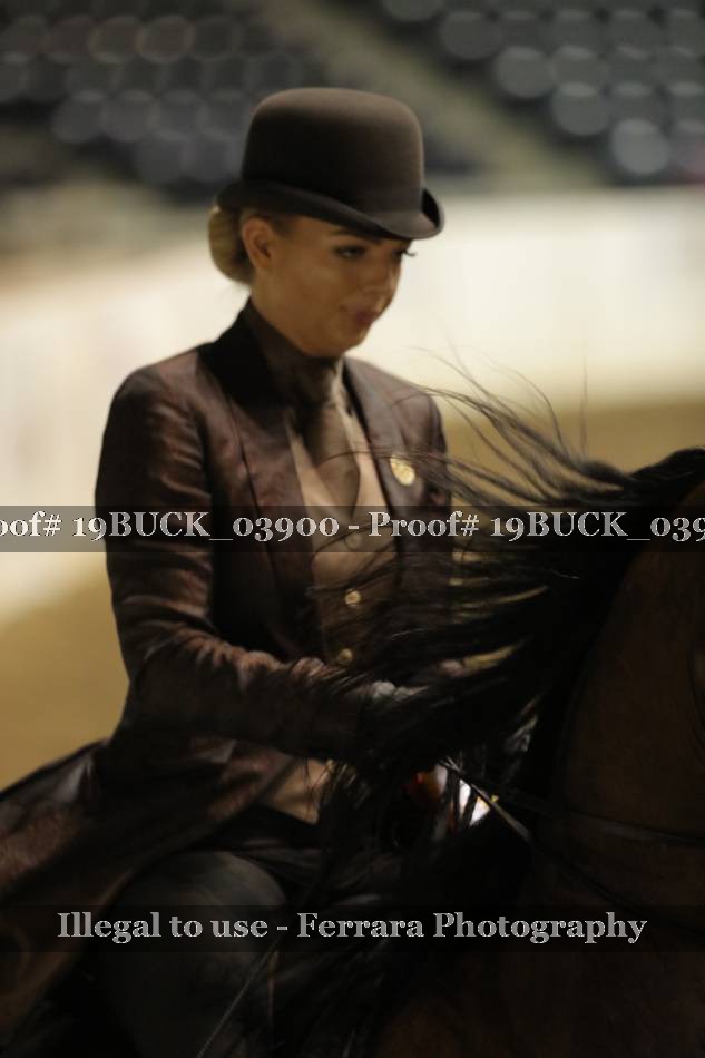Proof 19BUCK_03900