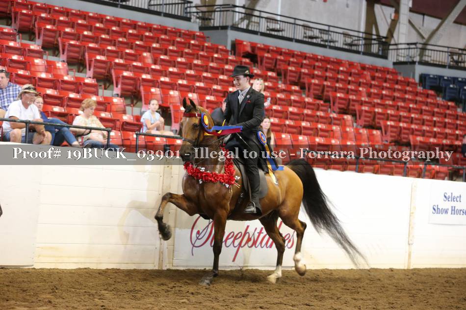 Proof 19BUCK_03901