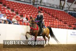 19BUCK_03901 proof