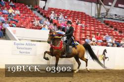 19BUCK_03902 proof