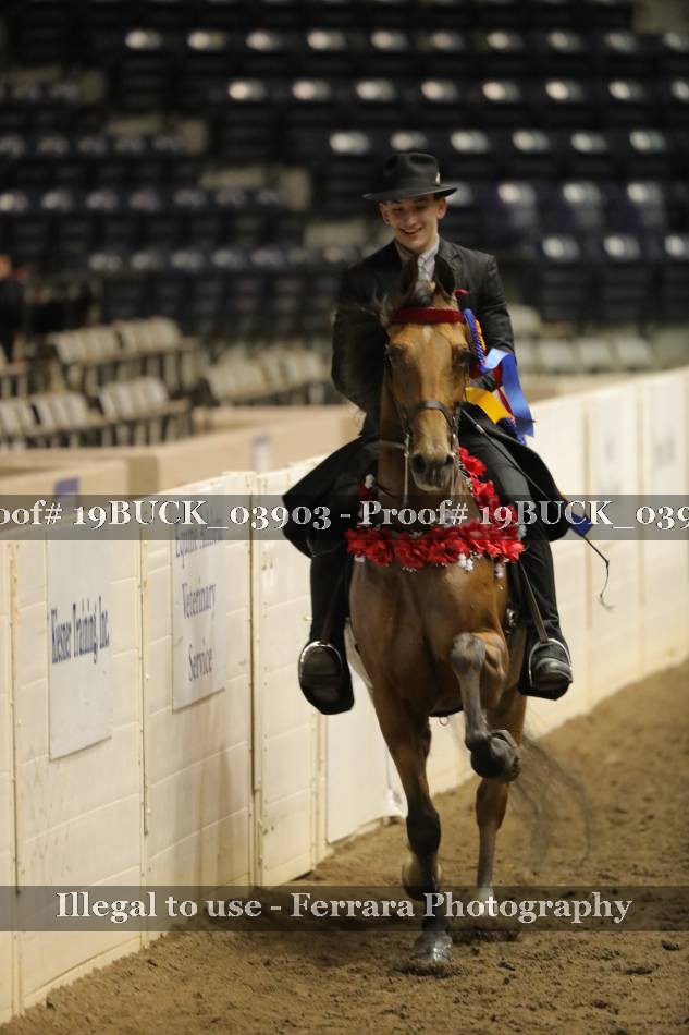 Proof 19BUCK_03903