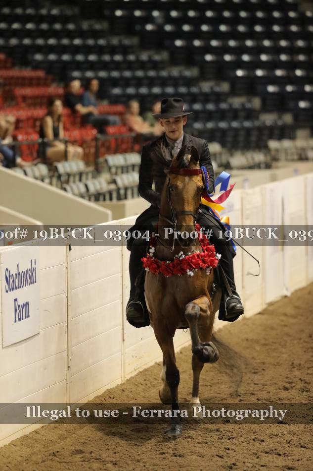 Proof 19BUCK_03904