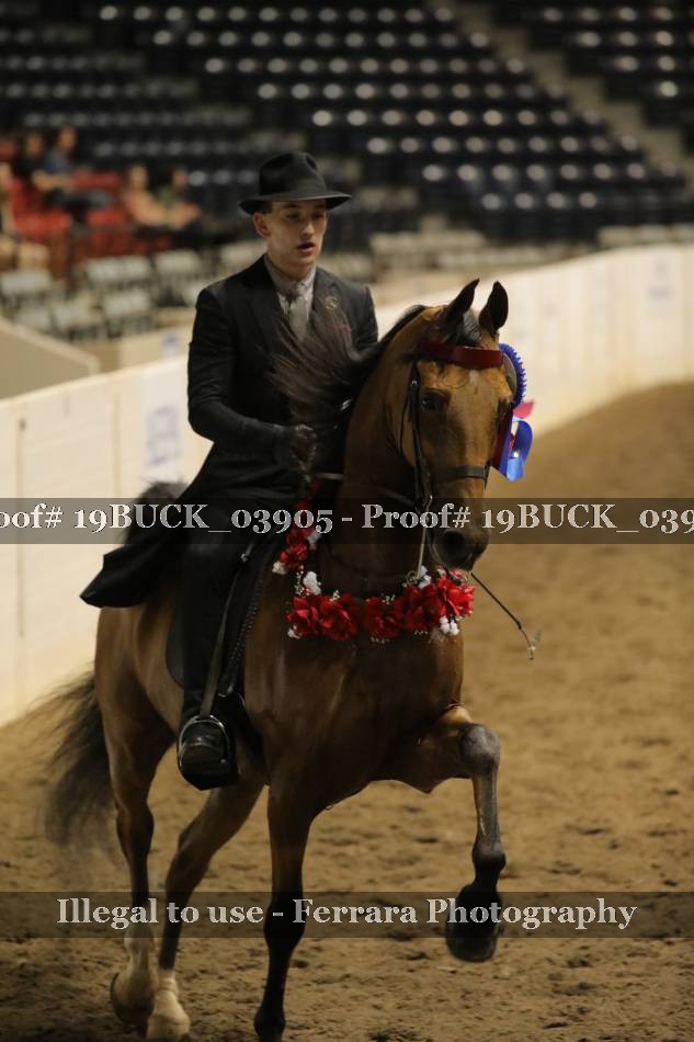 Proof 19BUCK_03905