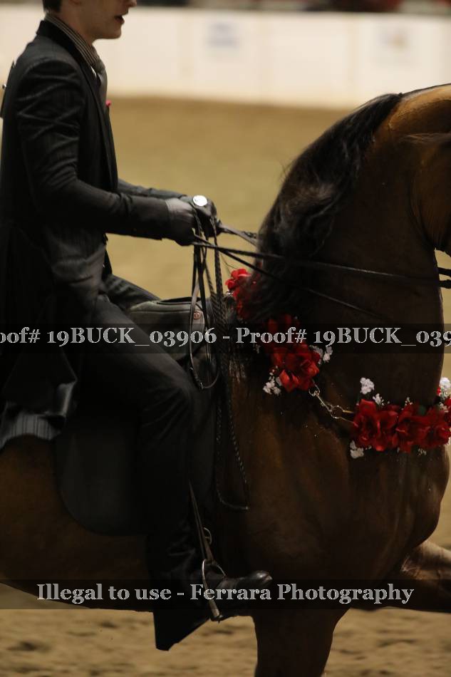 Proof 19BUCK_03906