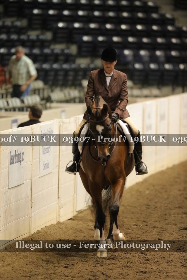 Proof 19BUCK_03907