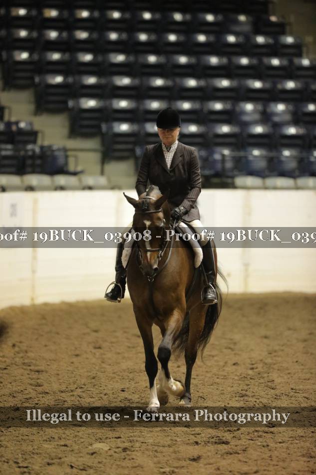 Proof 19BUCK_03908