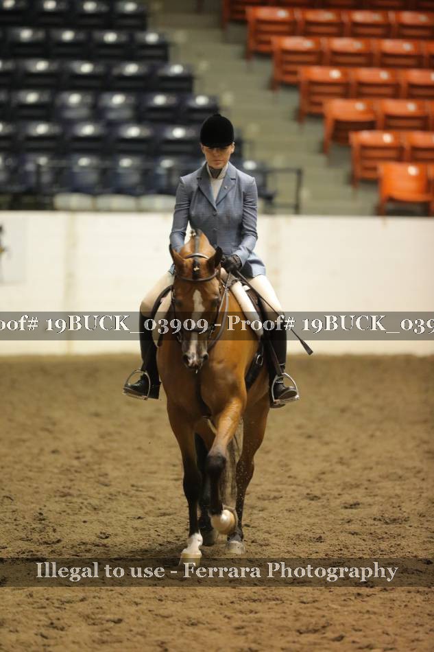 Proof 19BUCK_03909