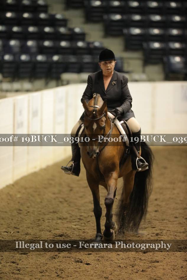 Proof 19BUCK_03910