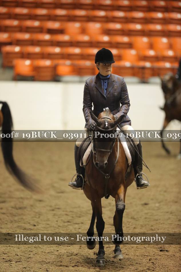 Proof 19BUCK_03911