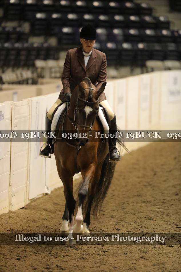Proof 19BUCK_03912