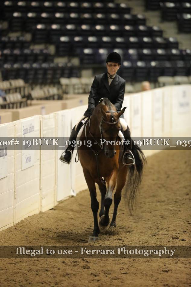 Proof 19BUCK_03913