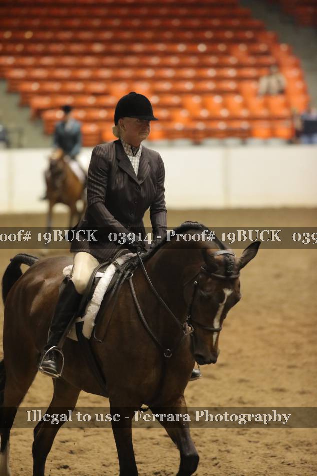Proof 19BUCK_03914