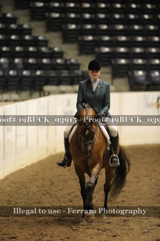 Proof 19BUCK_03915