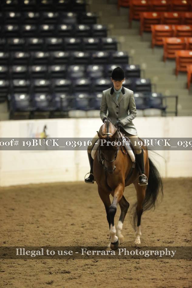 Proof 19BUCK_03916