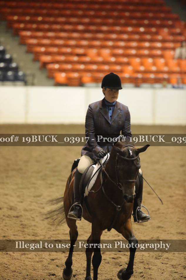 Proof 19BUCK_03917