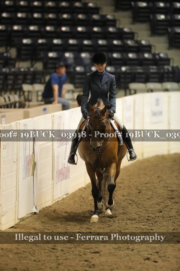 Proof 19BUCK_03918