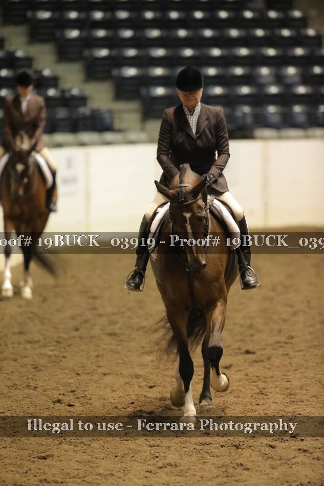 Proof 19BUCK_03919