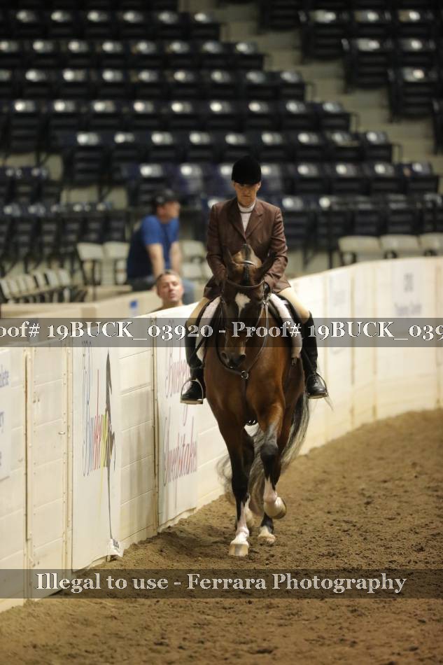 Proof 19BUCK_03920