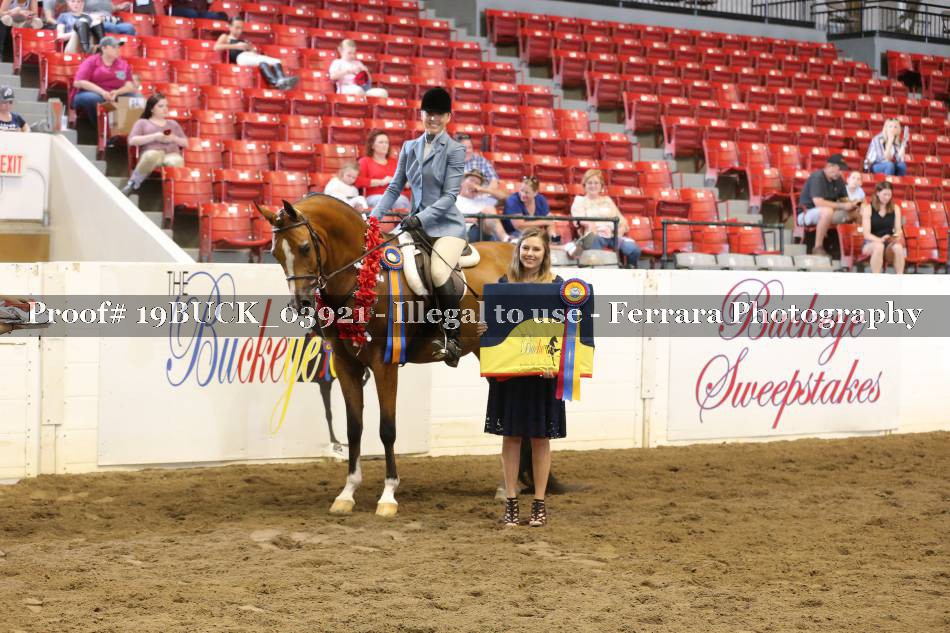 Proof 19BUCK_03921