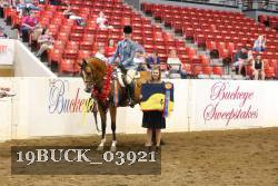 19BUCK_03921 proof