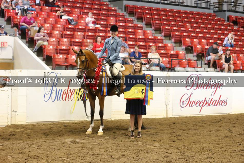 Proof 19BUCK_03922