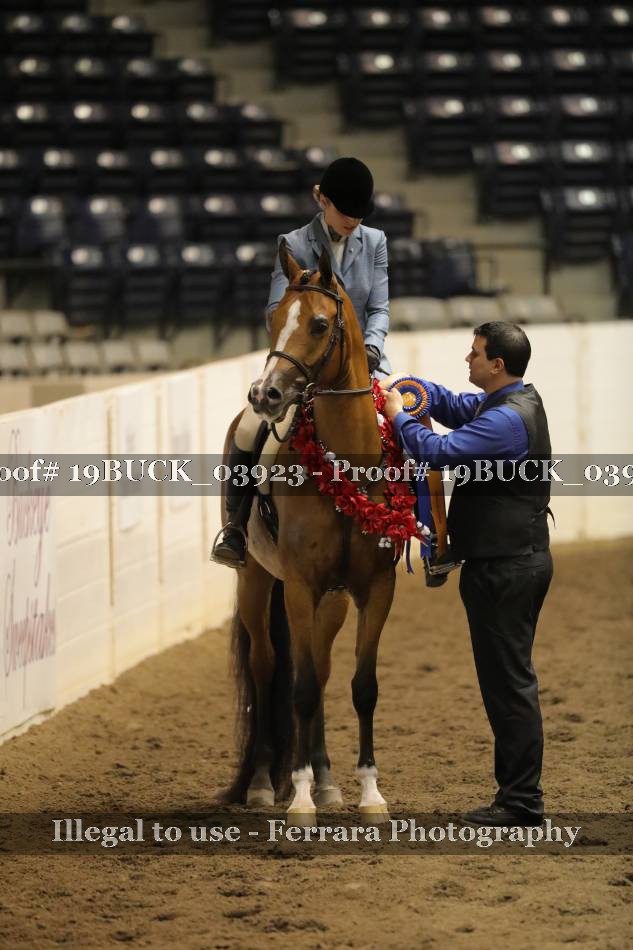 Proof 19BUCK_03923