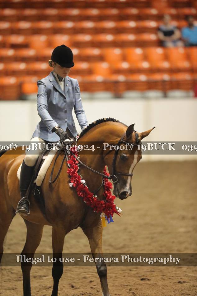 Proof 19BUCK_03924
