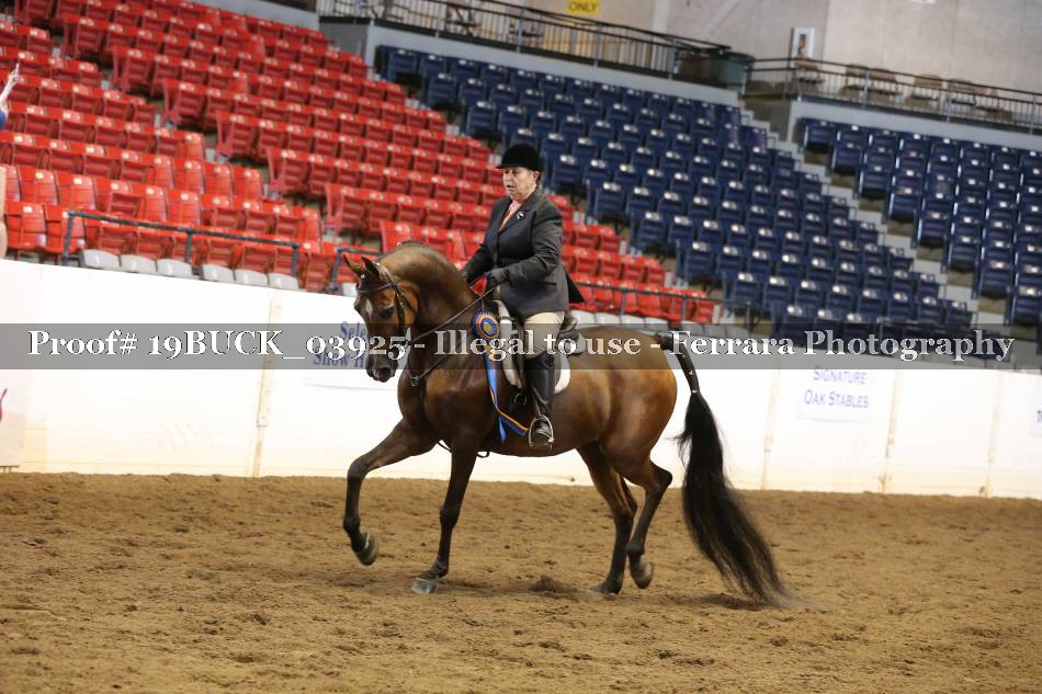 Proof 19BUCK_03925