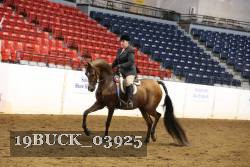 19BUCK_03925 proof