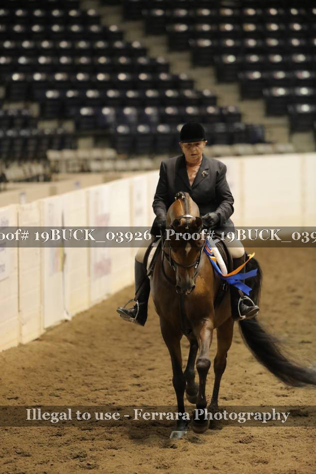 Proof 19BUCK_03926
