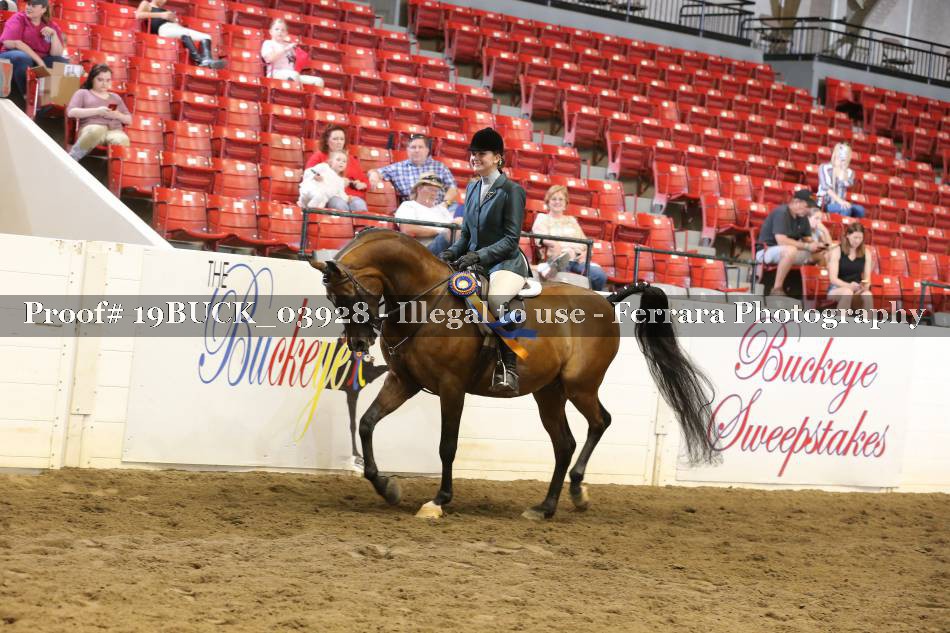 Proof 19BUCK_03928