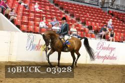 19BUCK_03928 proof