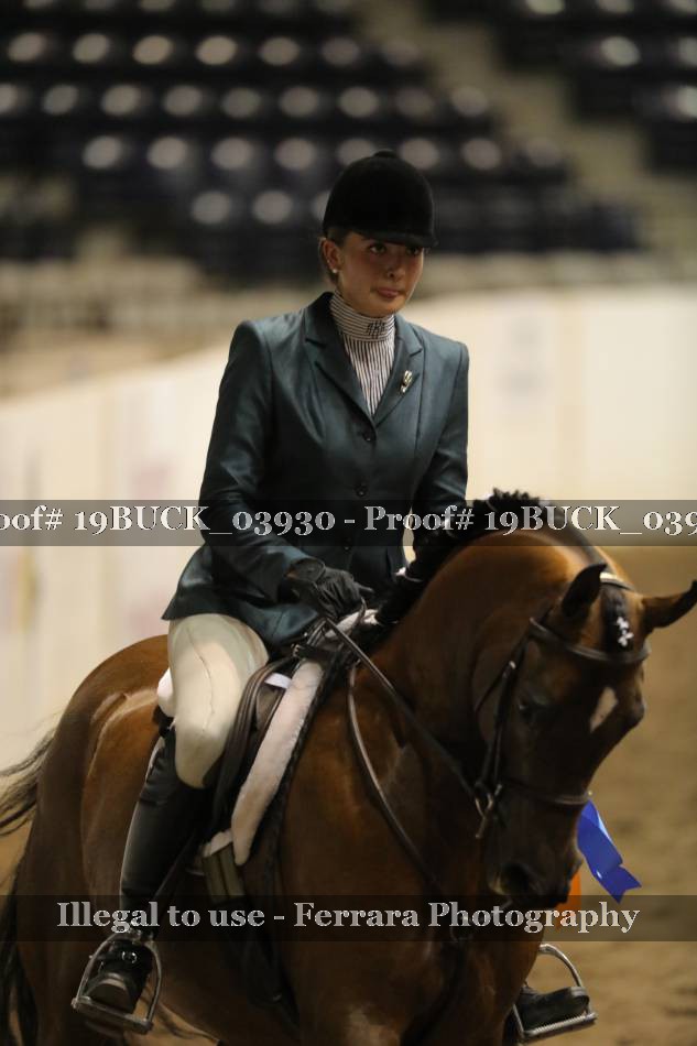 Proof 19BUCK_03930