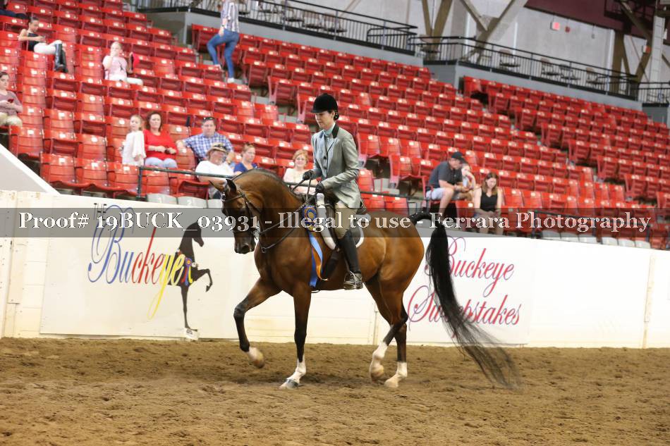 Proof 19BUCK_03931